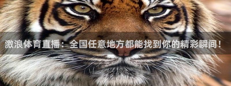 体育新闻