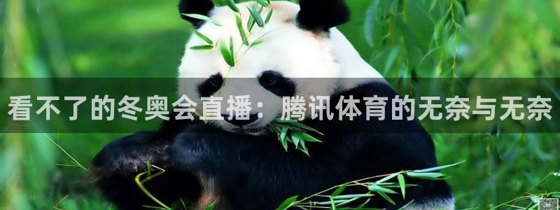 体育新闻