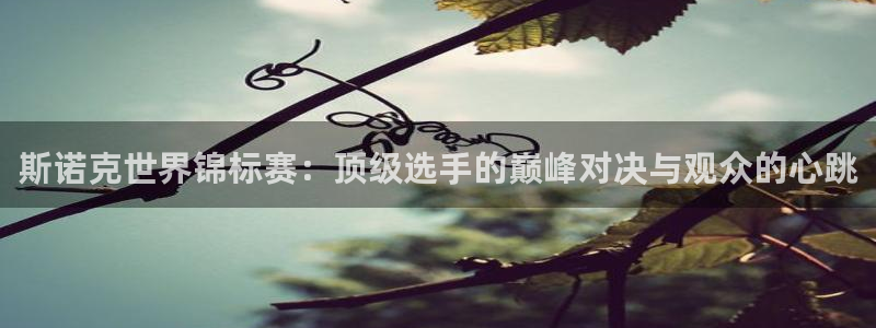 苹果斗球直播app下载
