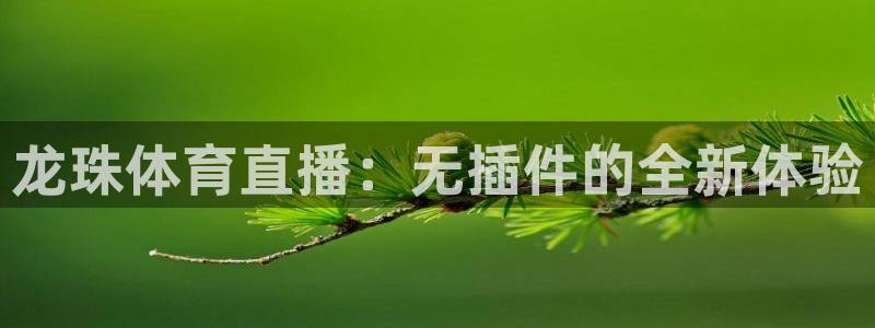 体育新闻