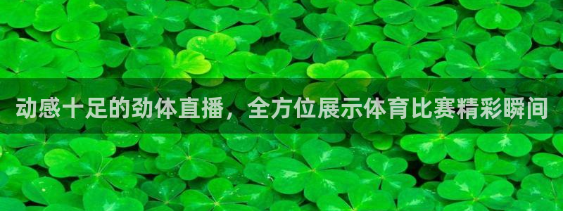 体育新闻