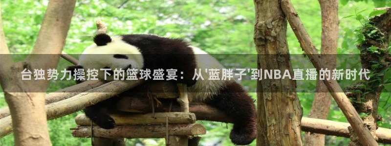 体育新闻